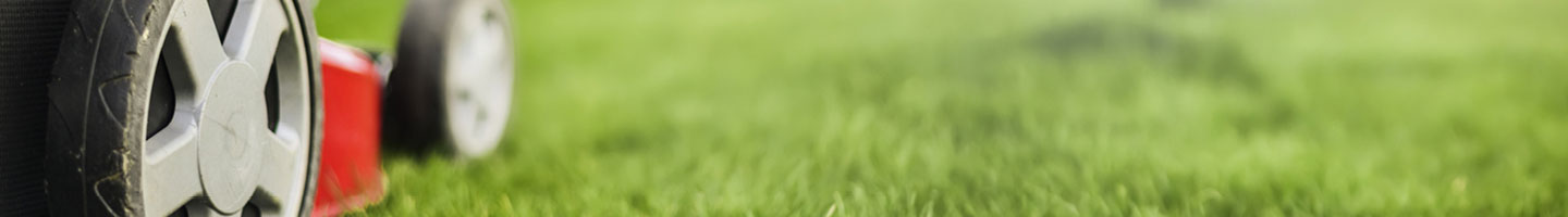 Lawn and Garden