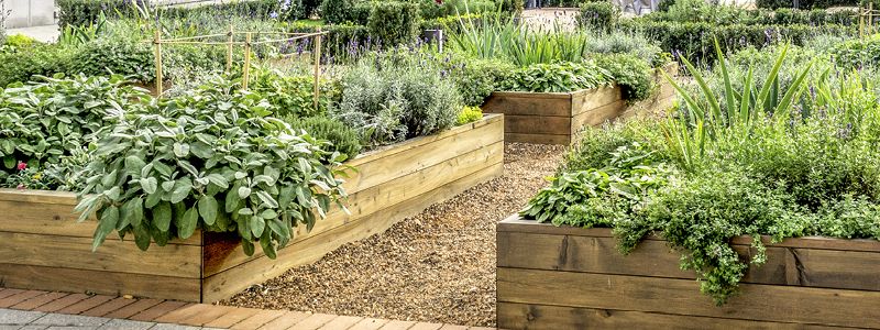 raised planters full of plants, bark walkway