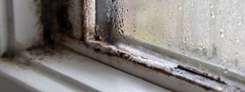 close up of window corner with mold growth and excessive condensation